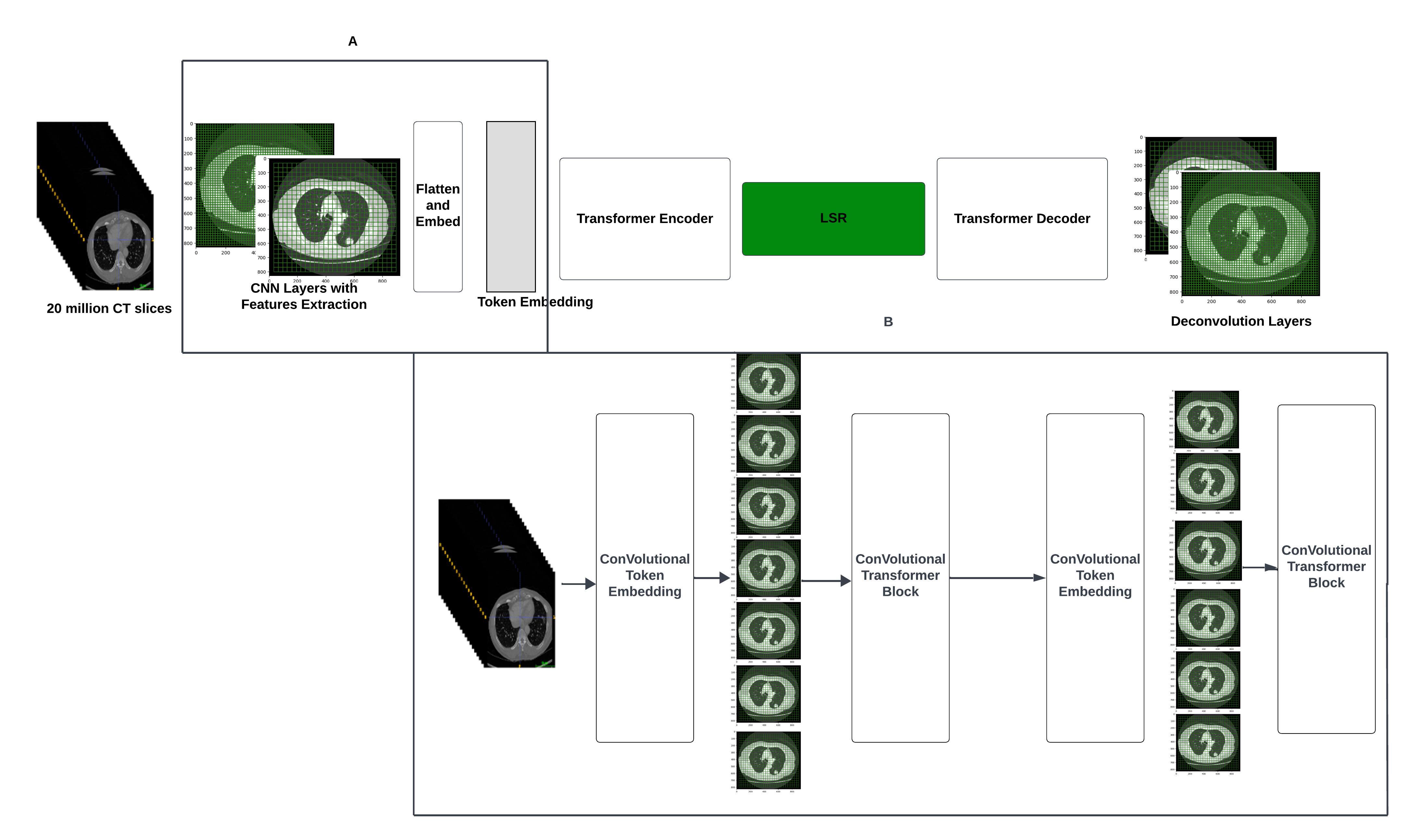 Main Model for CT Screening